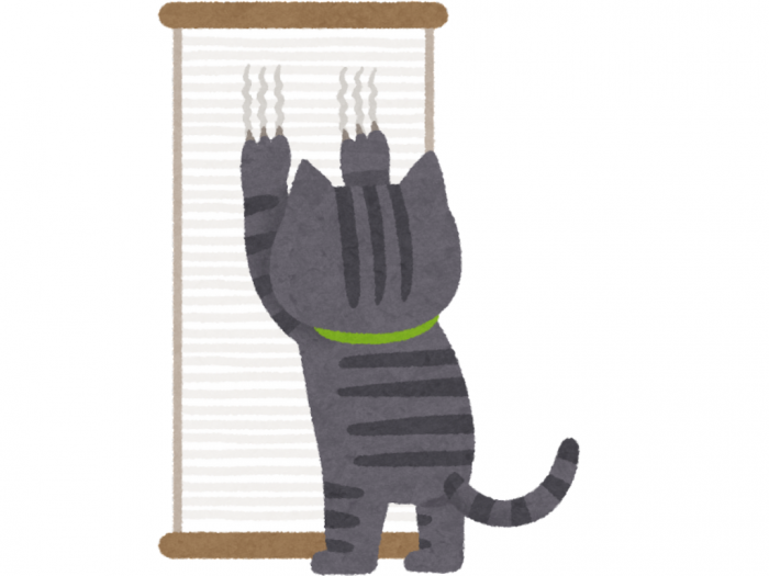 ねことの生活 530